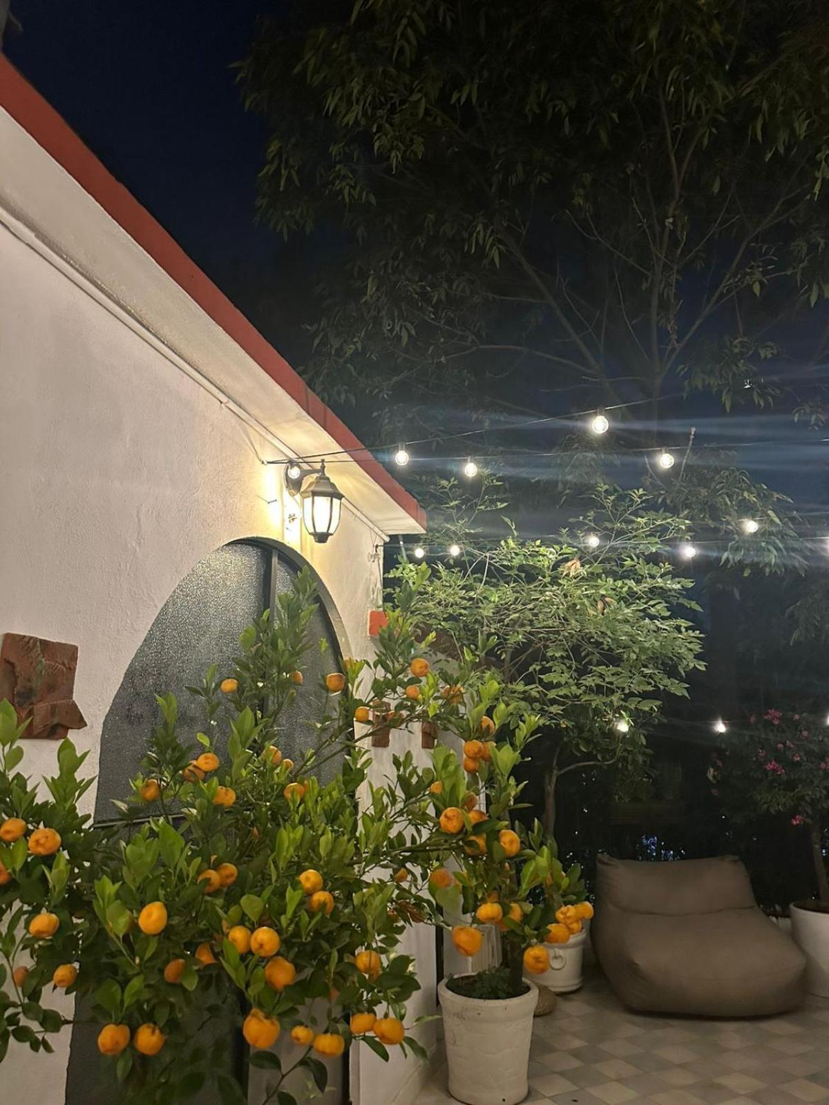 Nokal Exclusive Stay مدينة مكسيكو المظهر الخارجي الصورة
